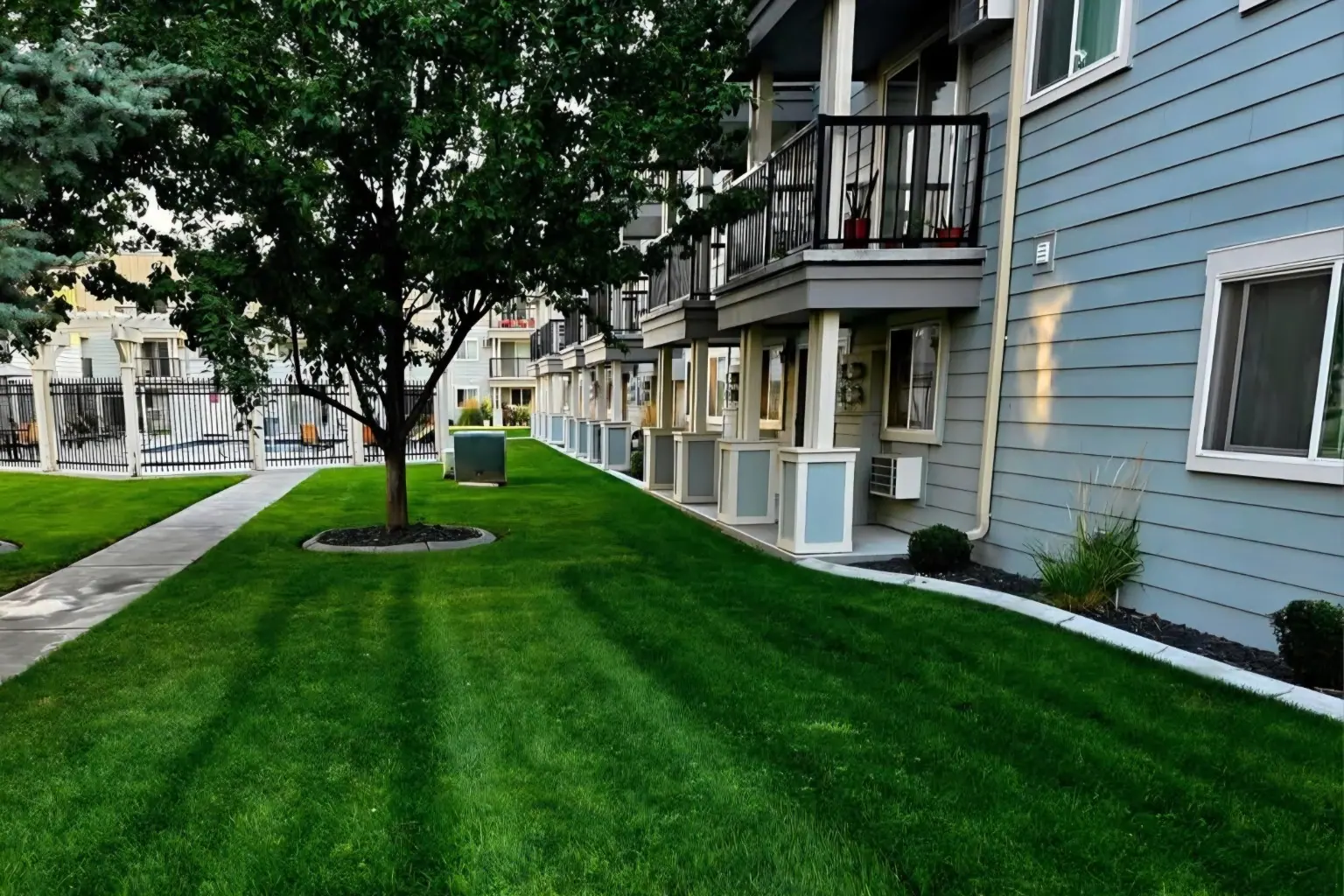 Striped lawn and tree between apartment buildings